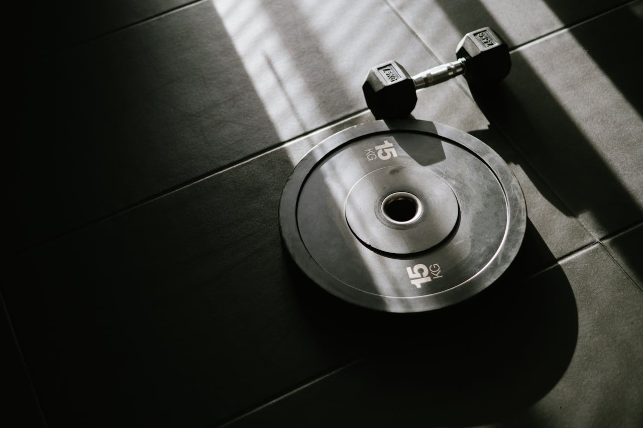 gallery-2 A 15 kg weight plate and dumbbell on a gym floor, lit by sunlight through a window.